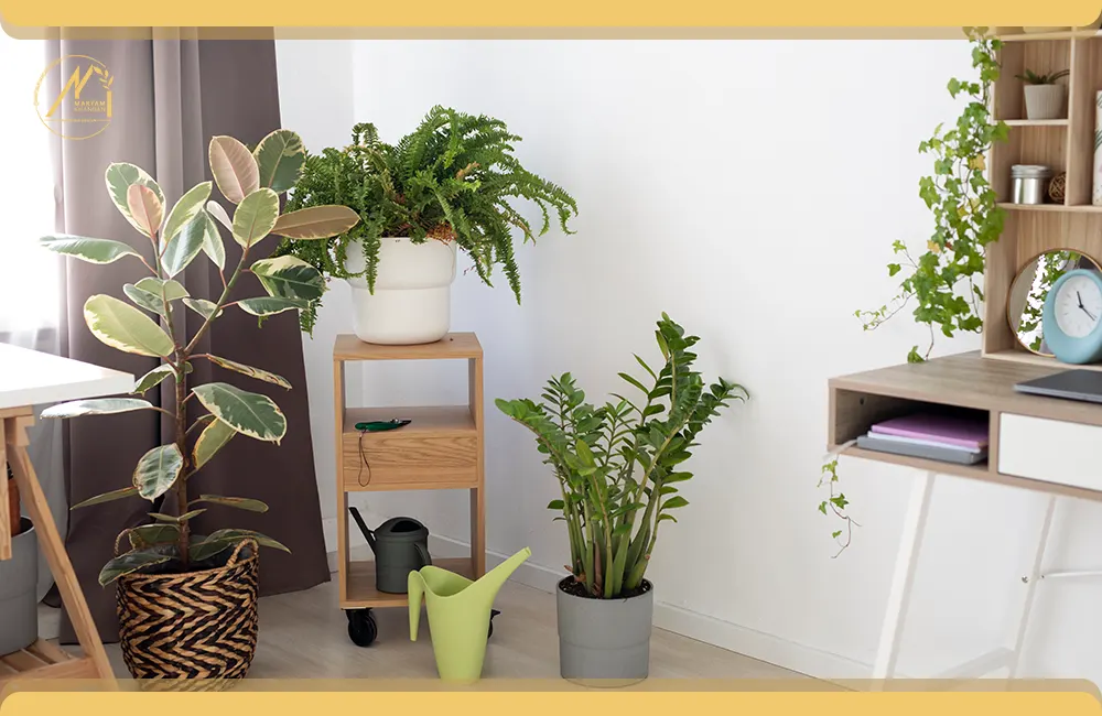 توجه به محیط زیست